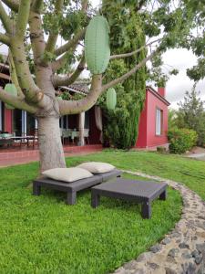 a bench sitting next to a tree in a yard at Villa Torres in Los Llanos de Aridane