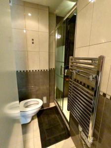 un baño con inodoro y ducha en République n°1, en Beausoleil