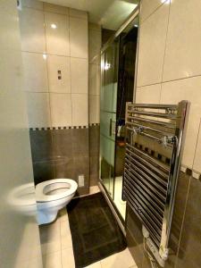 La salle de bains est pourvue d'une douche et de toilettes. dans l'établissement République n°1, à Beausoleil