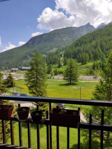 a balcony with potted plants and a view of a mountain at Ca del nono in Pragelato