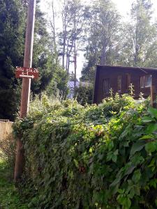 Zahrada ubytování Home Jurmala