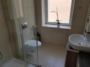 a bathroom with a shower and a toilet and a sink at Resita Residence Sauna Apartment in Reşiţa