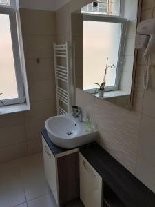 a bathroom with a sink and a mirror at Resita Residence Sauna Apartment in Reşiţa