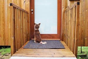 a cat sitting on a mat in front of a door at Aloia Nature, Alojamiento Forestal in Tui