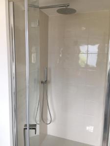 a shower with a glass door in a bathroom at Casa Mary in Brenzone sul Garda