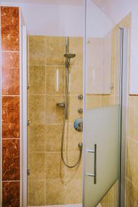 een douche met een glazen deur in de badkamer bij Anja's Ferienwohnung Europa Park in Ettenheim
