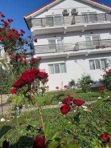 un edificio blanco con rosas rojas delante de él en Vila Trandafirilor Costinești, en Costinesti