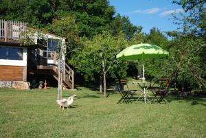 a duck walking in the grass next to a green umbrella at La Cabane Du Verger in Salives