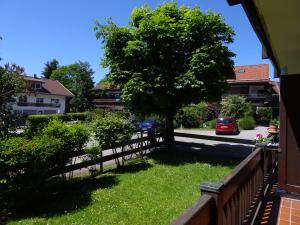 un cortile con recinto e albero di Alpennest Burgberg a Burgberg im Allgäu