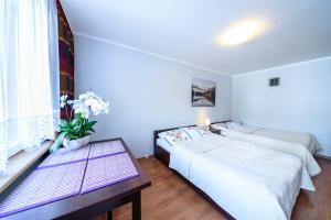 Fotografia z galérie ubytovania Apartment Daga w centrum v destinácii Szklarska Poręba