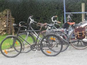 un grupo de bicicletas estacionadas una al lado de la otra en B&B Bready, en Assenede