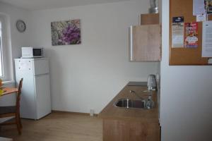 Kuchyňa alebo kuchynka v ubytovaní Apartman Q11