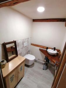 La salle de bains est pourvue de toilettes et d'un lavabo. dans l'établissement Pferdehof am Burgsberg, Ferienzimmer, Monteurzimmer, à Seifhennersdorf