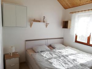 1 dormitorio con 1 cama, vestidor y ventana en Apartmán s vinným sklepem Four Grapes, en Jevišovka