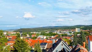 a view of a town with orange roofs and a church at Froeschlein - no craftsmen fitters in Ilmenau