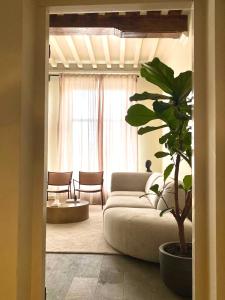 a living room with a couch and a potted plant at HARBOR HOUSE ZEELAND - nl in Goes