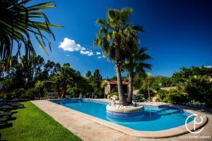 a palm tree in the middle of a swimming pool at Casas do Picoutinho in Ponte de Lima