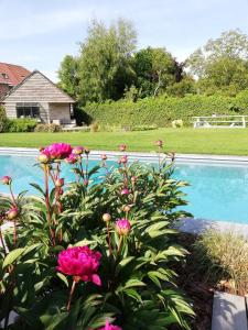 Swimmingpoolen hos eller tæt på B&B 7T