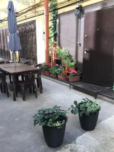 ラザレフスコエにあるGuest-house Svirskoe Uschelyeのパティオ(テーブル、鉢植えの植物、傘付)