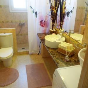 a bathroom with a sink and a toilet and a mirror at Villa Christina Luxury in Vouliagmeni Lake