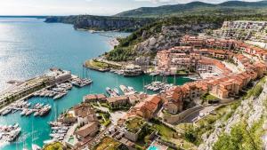 an aerial view of a harbor with boats in the water at moonflower in Pliskovica