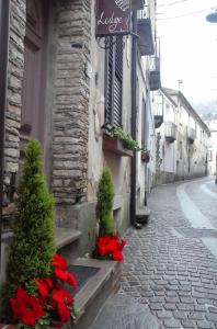 Montauro的住宿－Welcome to the "Rossinelli Lodge"，一座在建筑上带有红色花卉和标志的小巷
