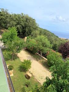 a garden with trees and flowers on a hill at Borgo dell'Uccellaia - Turchese - Giada in Marciana Marina