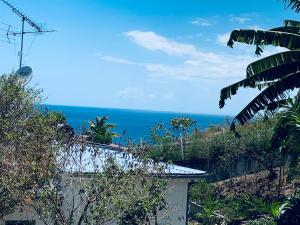 a view of the ocean from a house at Bungalow les Cerisiers in Bouillante