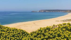 a view of a beach with yellow flowers at Villa Sofia in Torre Dei Corsari