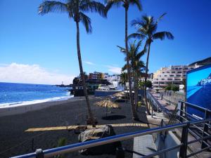 a view of a beach with palm trees and the ocean at Casa Arena Negra Edificio A'costa in Puerto Naos