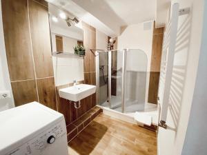 a bathroom with a shower and a sink at Drei Linden Herzog in Wolfenbüttel