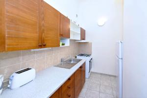 Kuchyň nebo kuchyňský kout v ubytování Apartments Vezenska + 37 fotografií