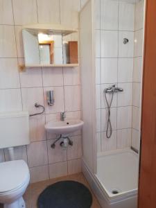 La salle de bains est pourvue de toilettes, d'un lavabo et d'une douche. dans l'établissement Apartmani Danica, à Orebić