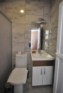 La salle de bains est pourvue de toilettes et d'un lavabo. dans l'établissement Hotel Baykal, à Istanbul