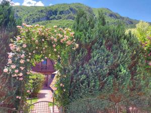 un arco con rosas rosas en un jardín en Viola i Detelina Apartments, en Perućac