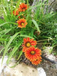 Afbeelding uit fotogalerij van El Huertecillo in Arriate