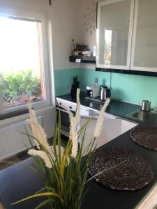 Kuchyň nebo kuchyňský kout v ubytování Bastien Studio near Airport
