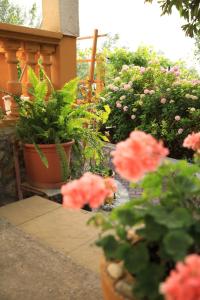 Um jardim em APARTMANI SARLIJA