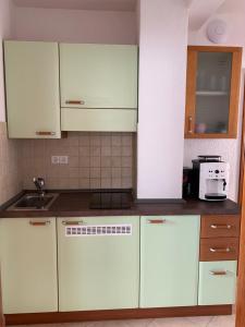 Kuchyň nebo kuchyňský kout v ubytování Apartments Dumančić