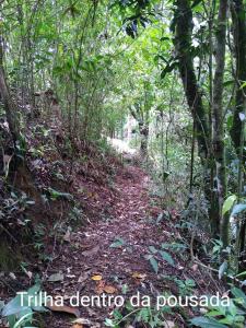 Un sentier dans la jungle de la république dominicaine dans l'établissement Pousada Caminho do Escorrega, à Visconde de Mauá