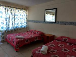 Postel nebo postele na pokoji v ubytování Hotel Plaza Aleman