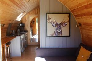 TV a/nebo společenská místnost v ubytování Cairnfold Cabins