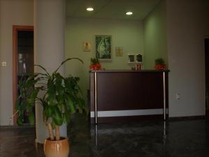 a room with a partition with a potted plant in it at Hotel Venecia in Primorsko +38 photos