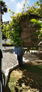 Ogród w obiekcie LA CHANCA RURAL