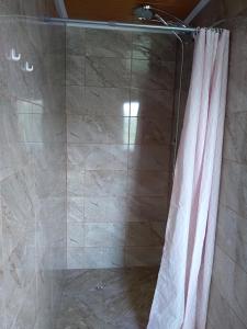a shower with a glass curtain in a bathroom at Casa Anda - Adult Only in Sovata