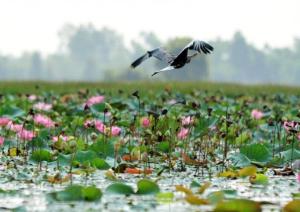 Foto dalla galleria di Lan Thai Ngoc Hotel a Cao Lãnh