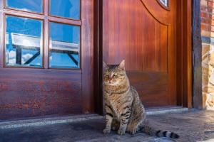 un gatto seduto davanti a una porta di 清境英格曼花園民宿 a Ren'ai