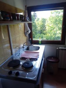 Kuchyň nebo kuchyňský kout v ubytování Guesthouse Marton