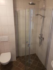 eine Duschkabine mit WC im Bad in der Unterkunft Folgefonn Gjestetun in Jondal