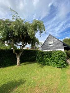 un árbol en un patio al lado de una casa en Tiny House De Oude Berg en Bergen